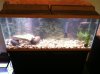 IMG_0077.JPG IMG_0077.JPG