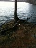 ImageUploadedByMonsterAquariaNetwork1328202117.653653.jpg