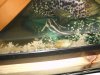 my fish #2 55 gallon tank 077.jpg