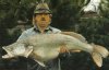 zander$2520record.jpg