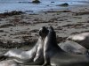 DSCN0516.jpg