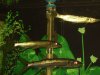 100_0112.jpg