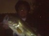 bass.jpg
