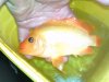 2012-01-28_12-56-19_57.jpg