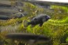 DSC_1327.JPG