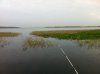 IMG_1129.JPG