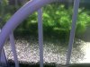 IMG00315-20120212-1705.jpg IMG00315-20120212-1705.jpg