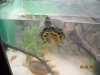DSCN2319.JPG