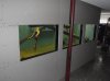 Basement and 1600gal Construction (15).JPG Basement and 1600gal Construction (15).JPG
