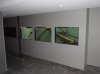Basement and 1600gal Construction (14).JPG Basement and 1600gal Construction (14).JPG