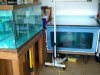newtank2.jpg newtank2.jpg