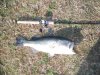 bass2 001.JPG