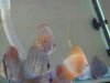 DSC01861.jpg DSC01861.jpg