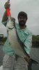 IMAG0497.jpg
