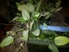 IMG-20120221-00446.jpg