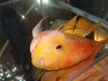 DSC00122.JPG