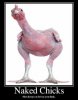 nakedchicks.jpg
