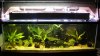 DSC01571-1.jpg