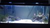 75gallon fts.jpg