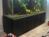 DSC07283.JPG