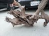 20120228_174805.jpg