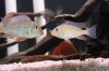 IMG_8659.jpeg