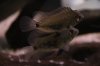 IMG_8896.jpeg