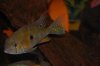 DSC_1272.JPG