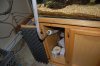 DSC_0342.JPG