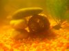 DSCN5905.JPG