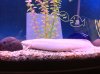 IMG_1312.JPG IMG_1312.JPG