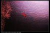 nEO_IMG_IMG_1022.jpg