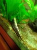 IMG_20120306_190229.jpg