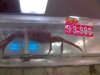 Spider Crab I.jpg