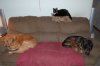 DSC_0013.JPG