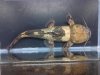 IMG-20120307-01178.jpg