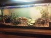2012-03-08 10.56.18.jpg