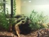 2012-03-08 10.57.03.jpg