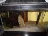 DSCF0571.JPG