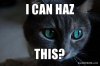 i-can-haz-this.jpg