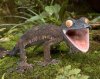 a304_Giant_leaf_tailed_Gecko.jpg