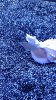 IMAG0066.jpg