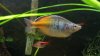 2012-03-16_18-18-26_62.jpg