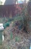 ImageUploadedByMonsterAquariaNetwork1332022668.062037.jpg