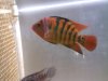 IMG_20120317_100051.jpg