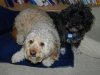 new pics 013.JPG