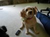 new pics 005.JPG