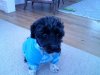 new pics 029.jpg