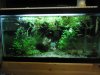 DSC07122.JPG