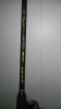 IMAG0556.jpg